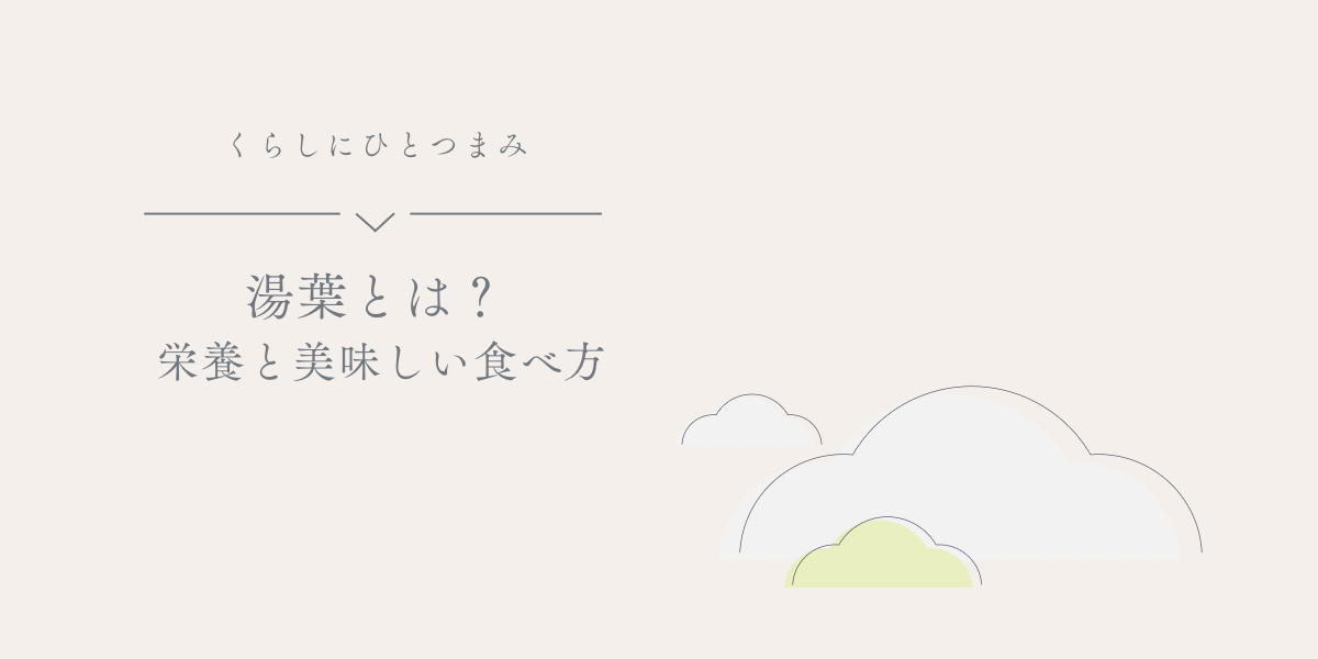 湯葉とは？栄養と美味しい食べ方を解説した記事のアイキャッチ画像