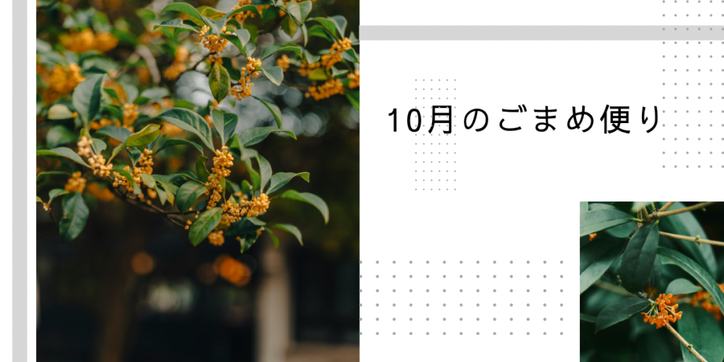 10月のごまめ便り